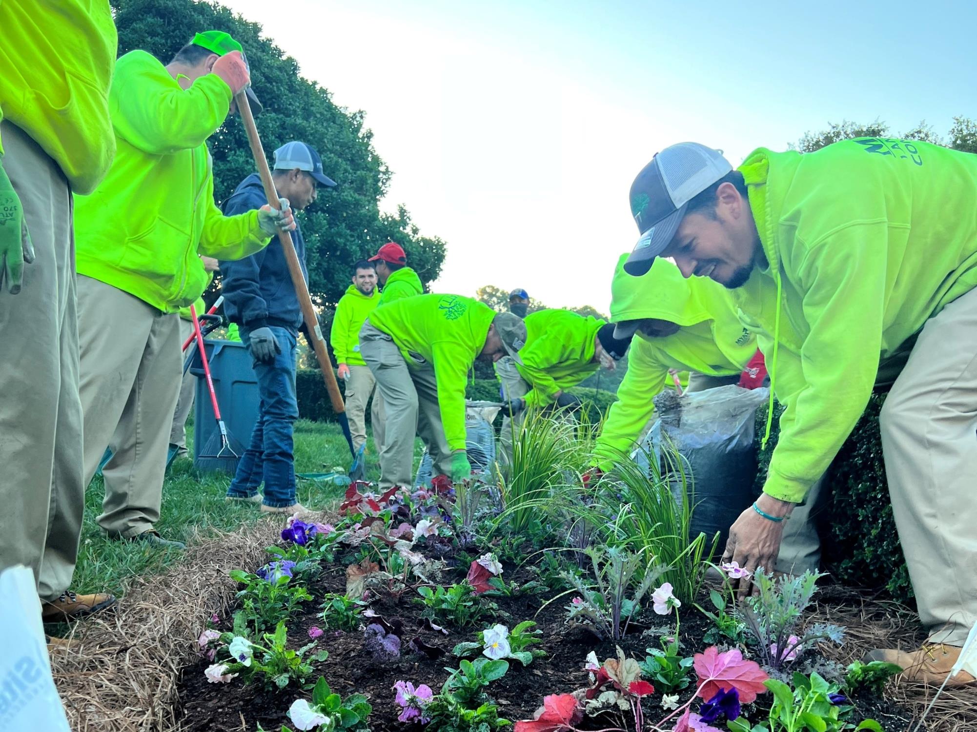 Flower planting