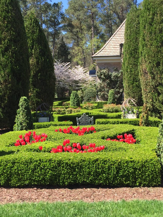 Boxwoods