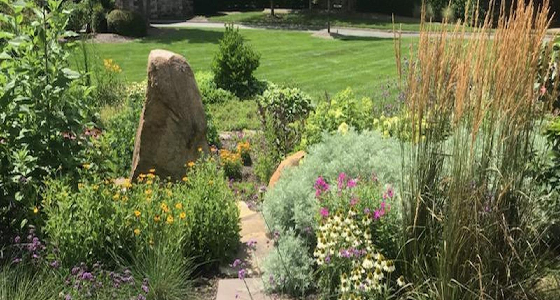 Best Perennials for Pollinators in Raleigh-Durham, NC