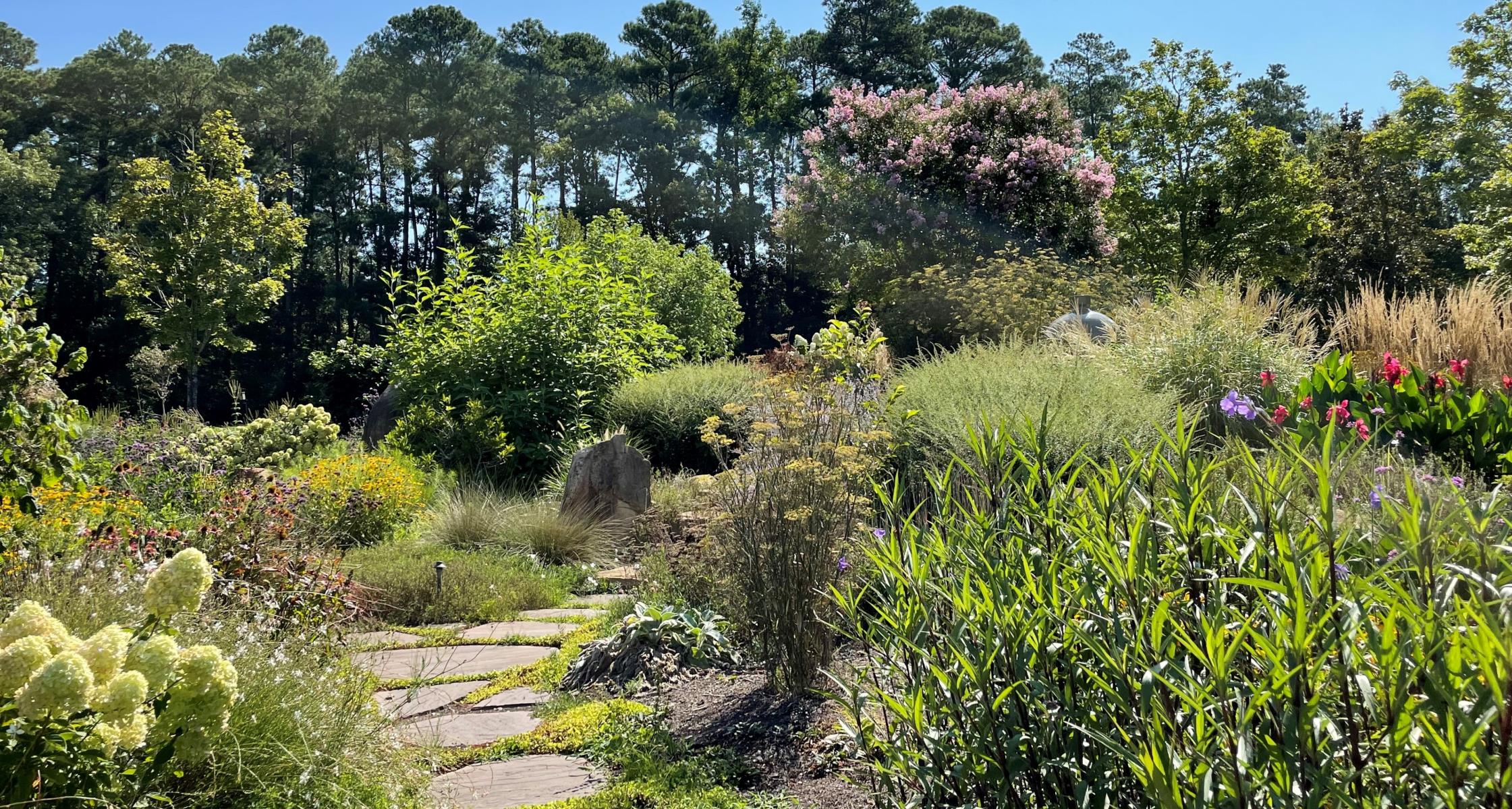 The trend setters of the plant world with Chris Eakins