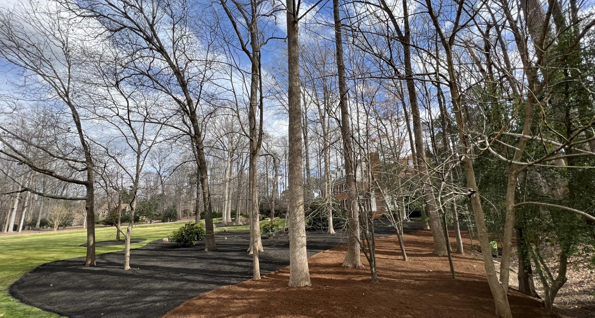 Choosing the right type of mulch for your property in North Carolina