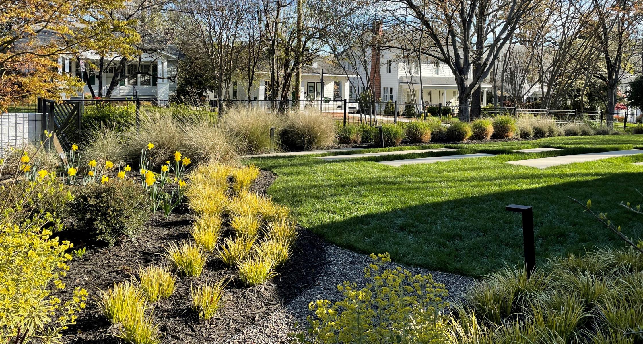 Ornamental Grasses - adding a soft touch