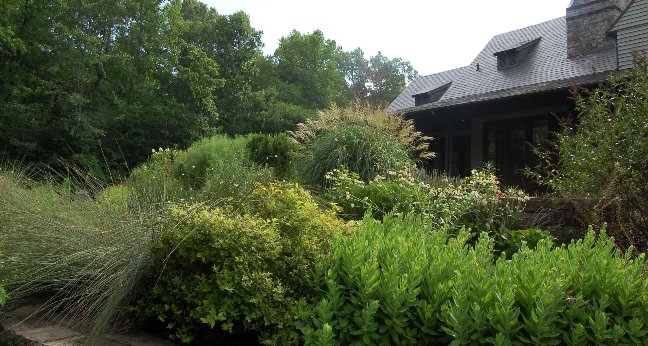 Embracing Water Wisdom: Xeriscaping Ideas for Water-Efficient Landscapes