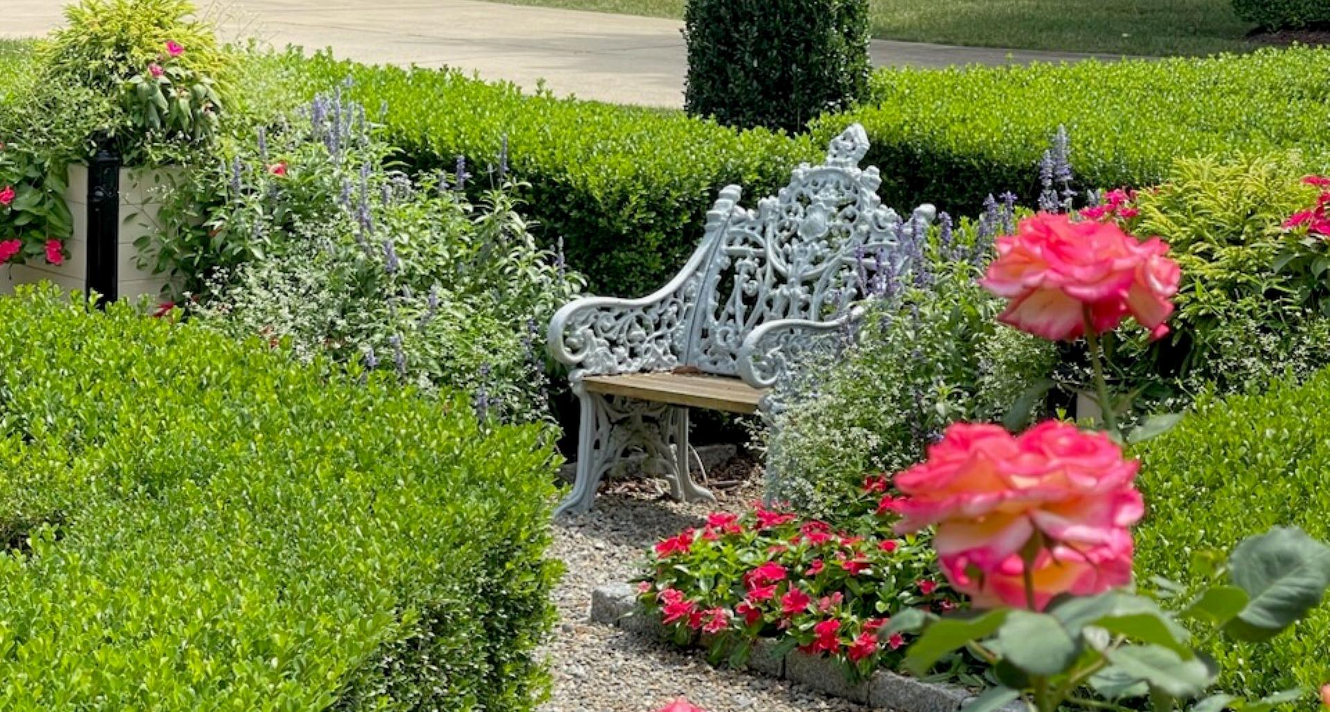To shear or not to shear- pruning tips