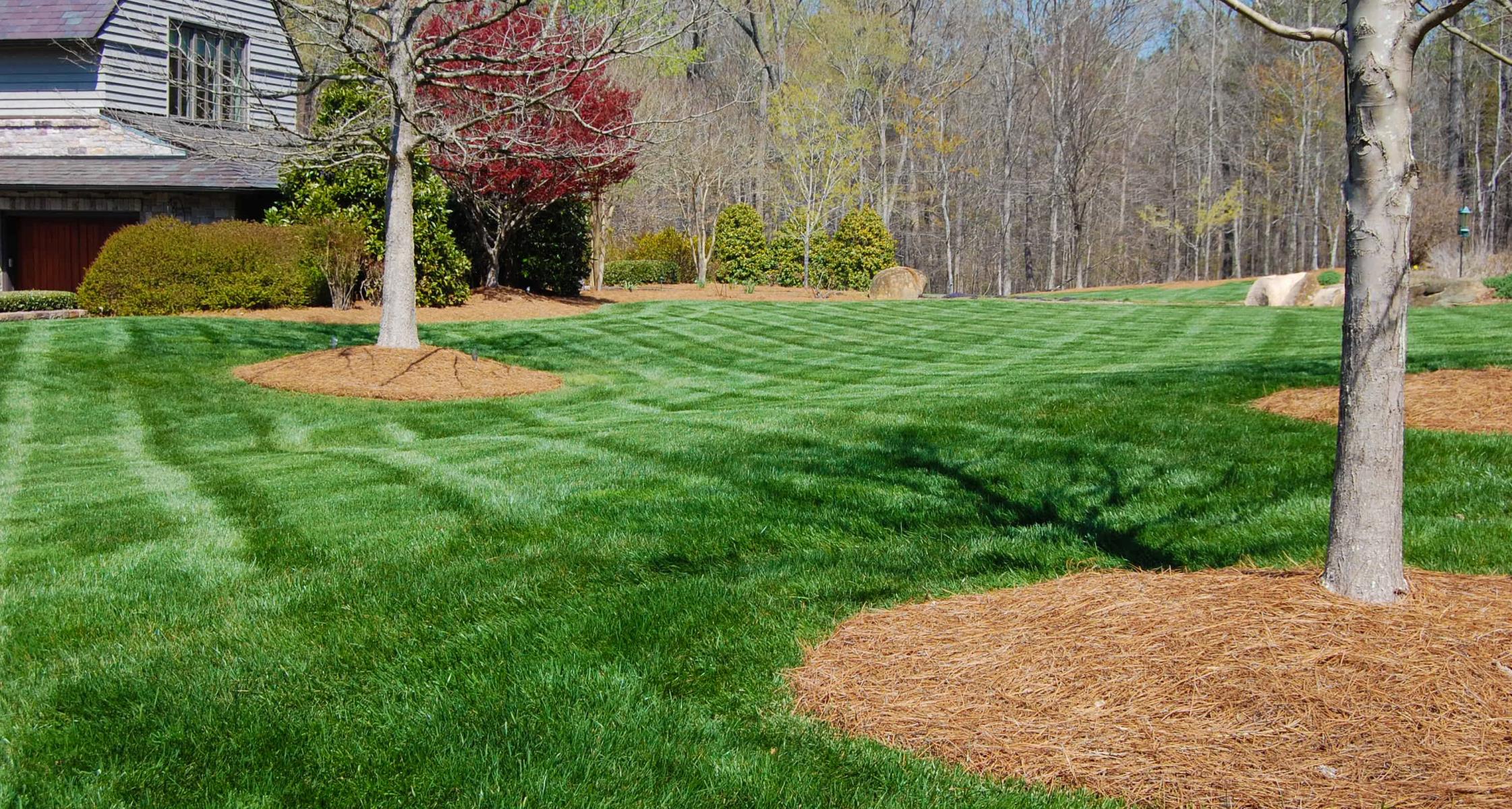Should you Choose Cool Season or Warm Season Turf