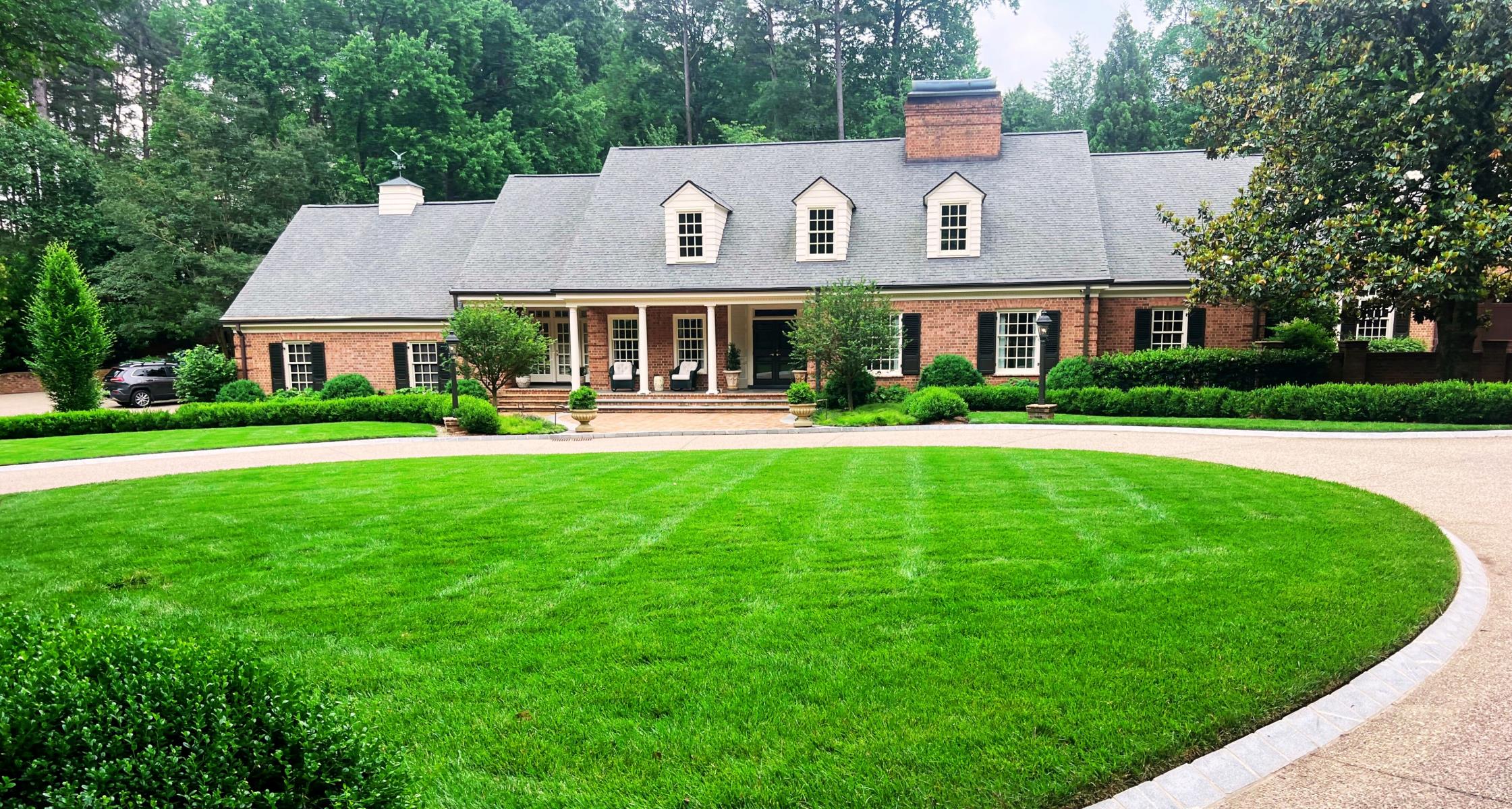Anchor Planting: How to Create Structure and Year-Round Beauty in Your Landscape