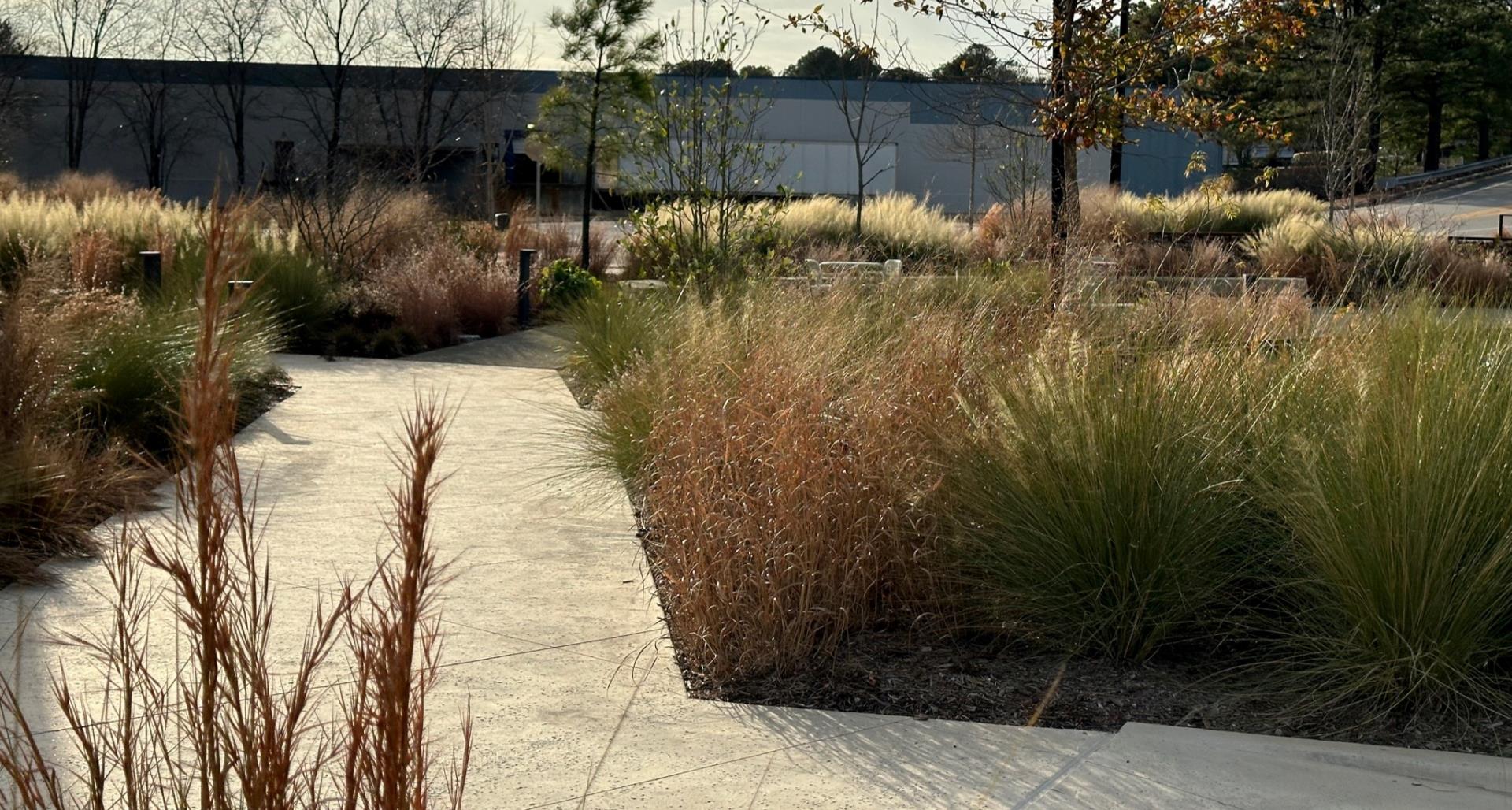 Preparing Your North Carolina Landscape for Winter