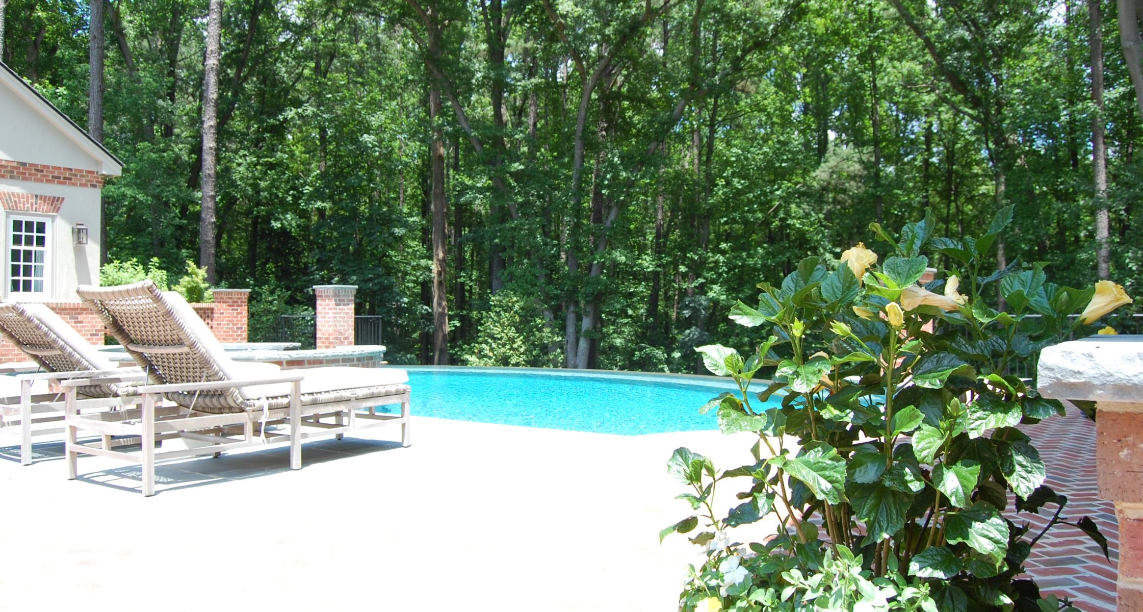 Plants You Should Avoid Planting Around Pools