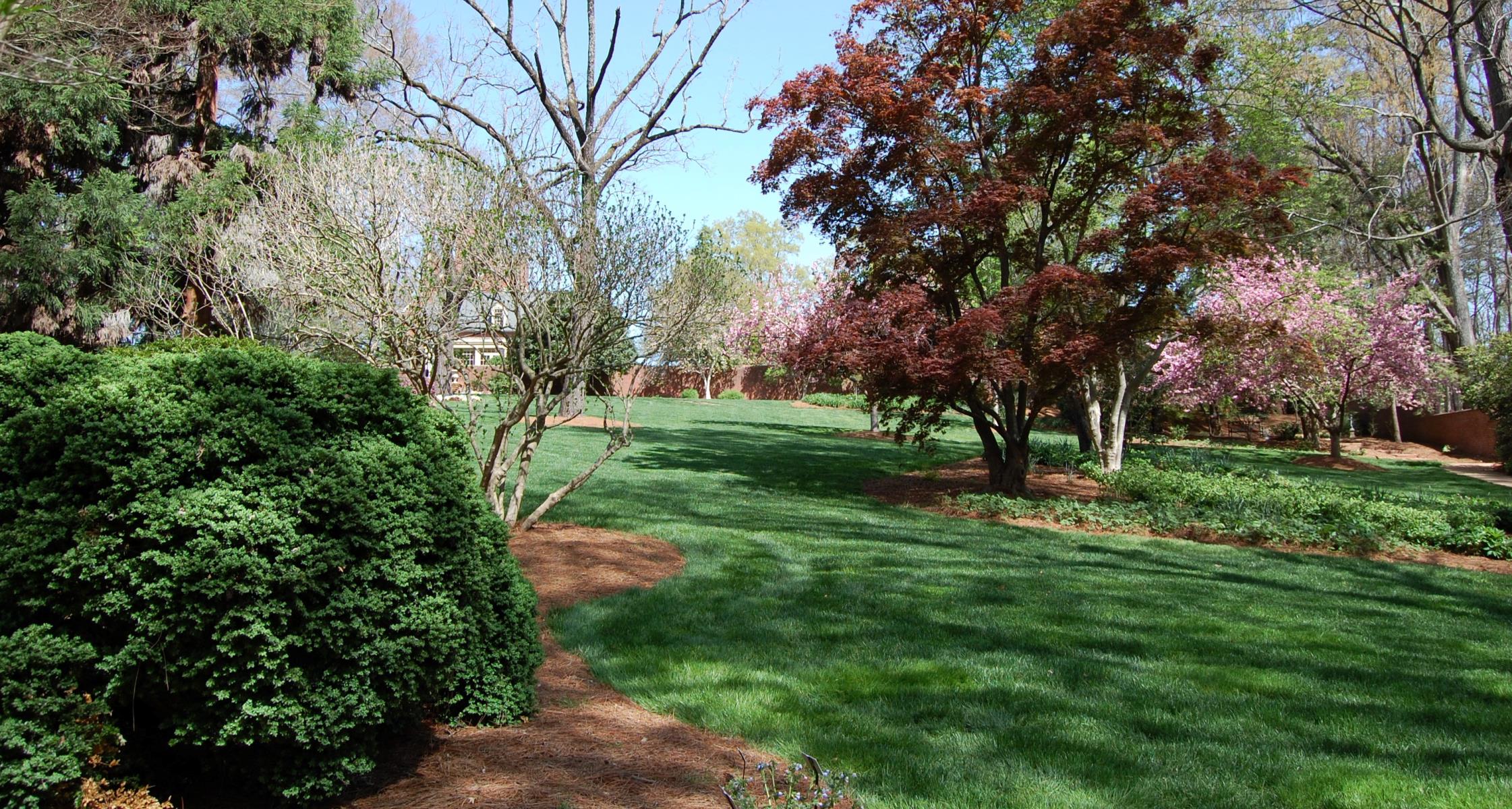 Growing turf in shaded areas