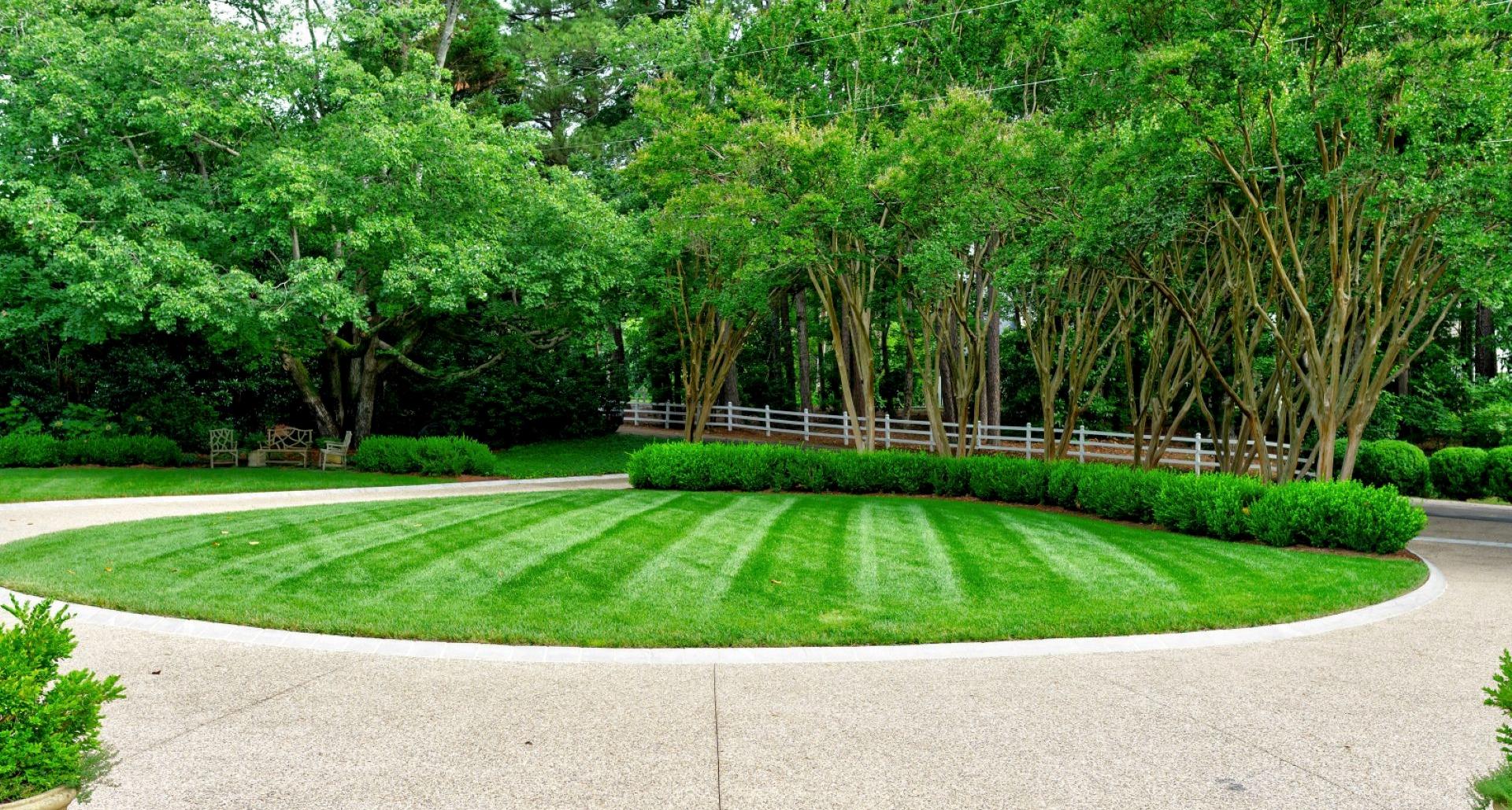 Understanding Soil Analysis: Why It Matters, When You Need It, and How to Read t