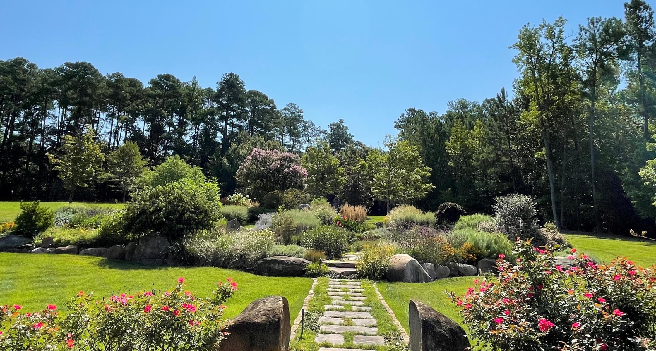 Gardening as a Hobby: Cultivating Health, Happiness, and Connection