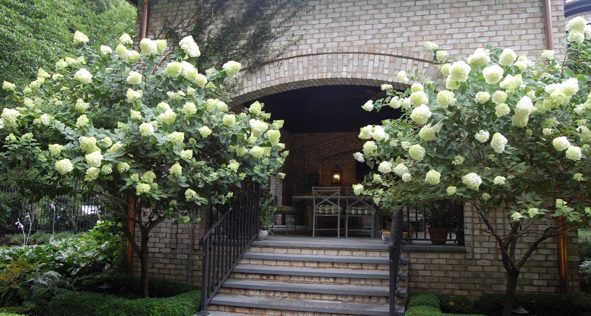 2026 Trend : Sunday Gardens