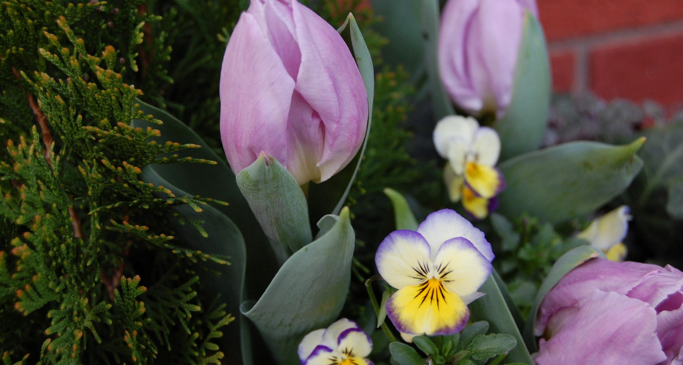 Dress Up Your Landscape: How Seasonal Color Changes Everything