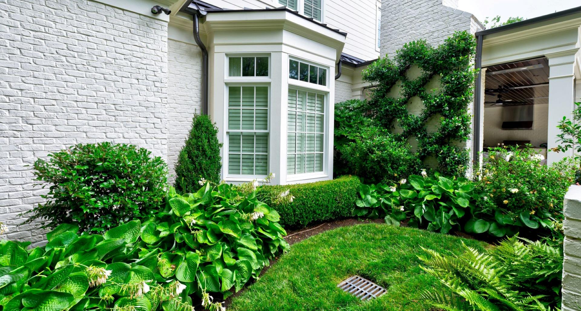 Softening Walls with Vines: A Beautiful Way to Add Life to Hard Surfaces