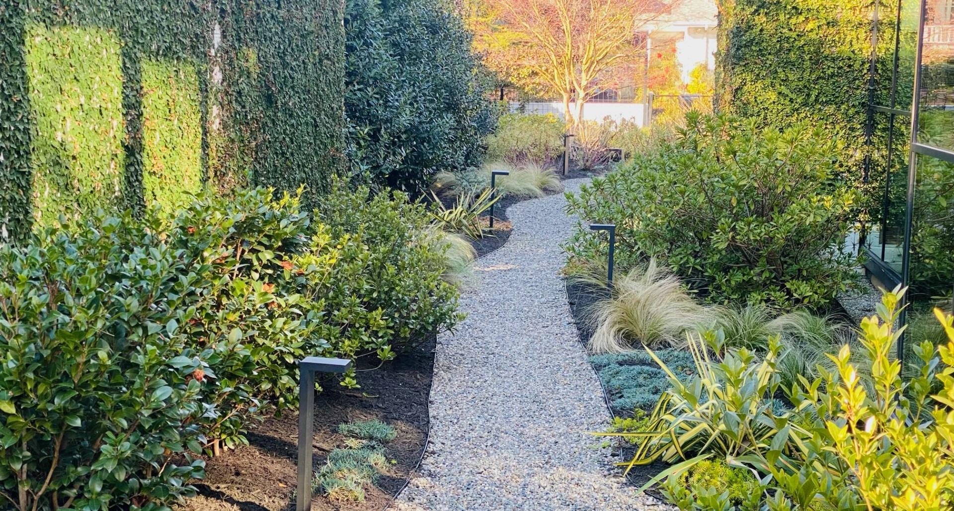 Stop Fighting Your Clay Soil: The Best Plants for Triangle Landscapes