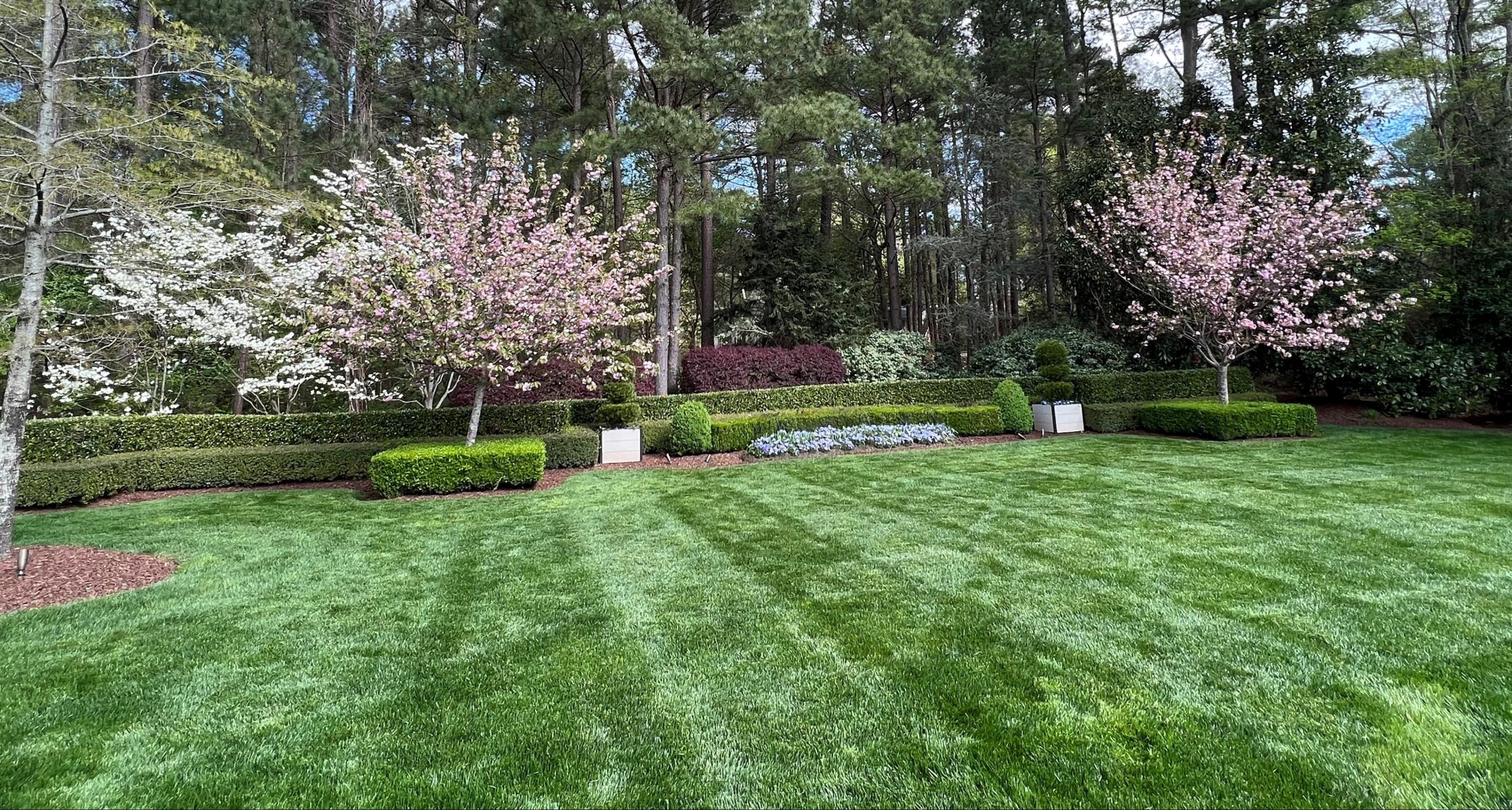 Backyard Safety for Young Kids