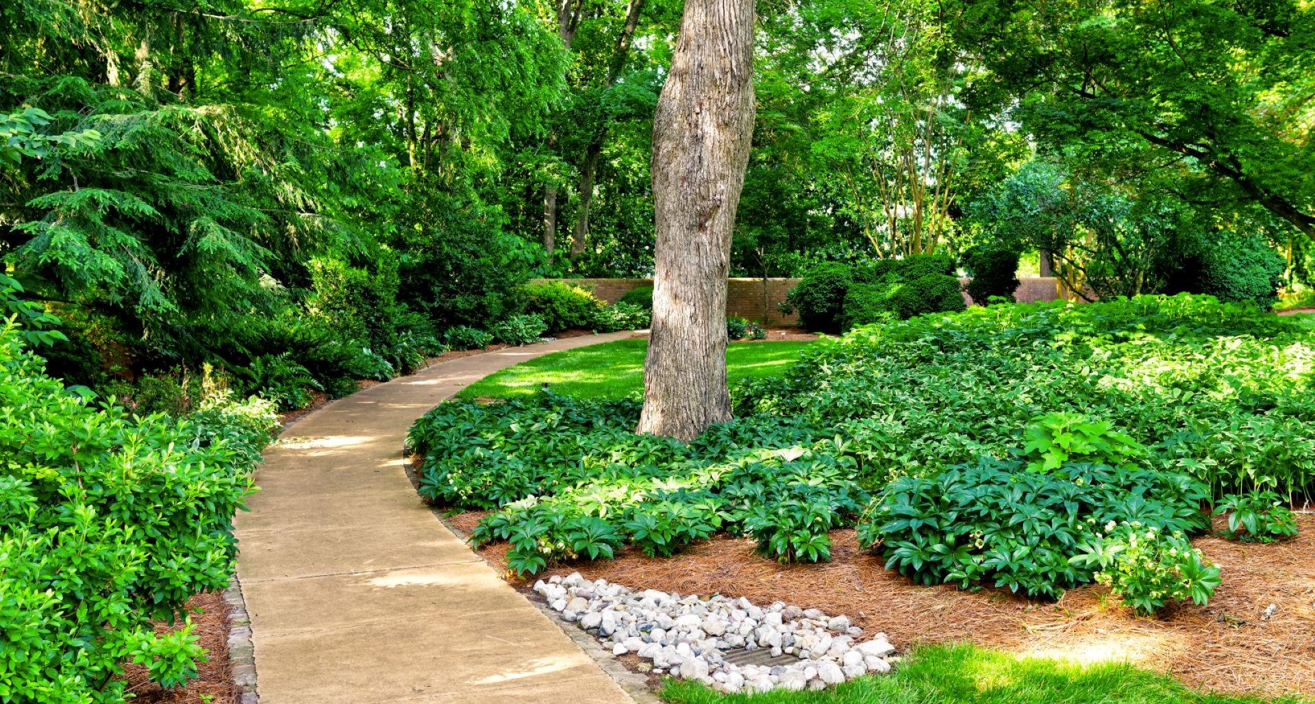 Turf Alternatives for Tough Spots