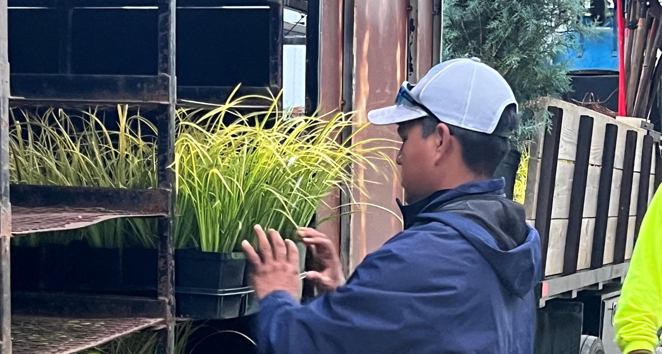 How to Find a Reputable Landscaper in the Triangle