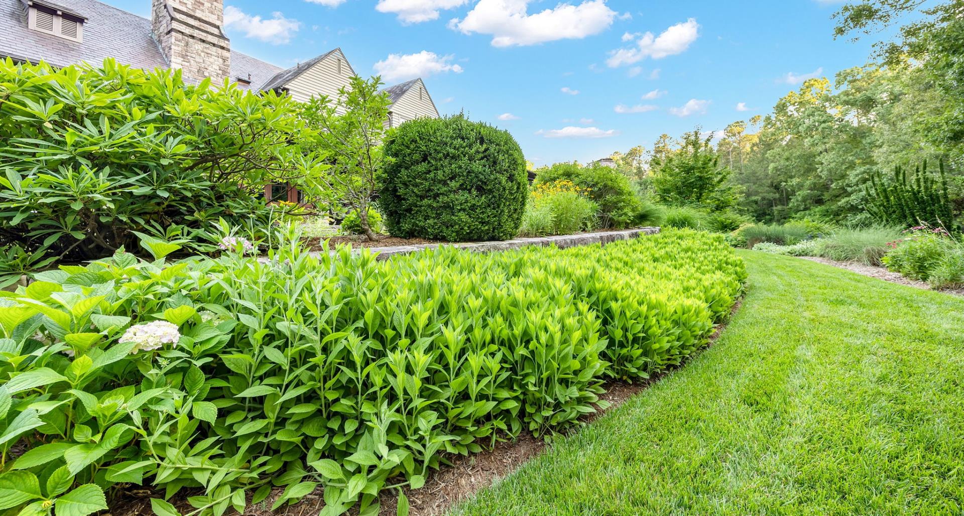 Getting your landscape ready for spring
