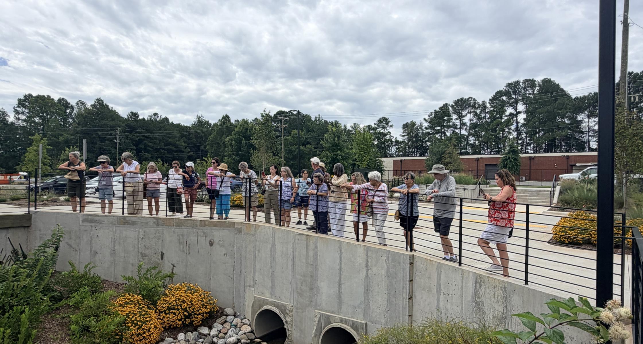 Garden Clubs: Growing Stronger Communities Through Shared Passion
