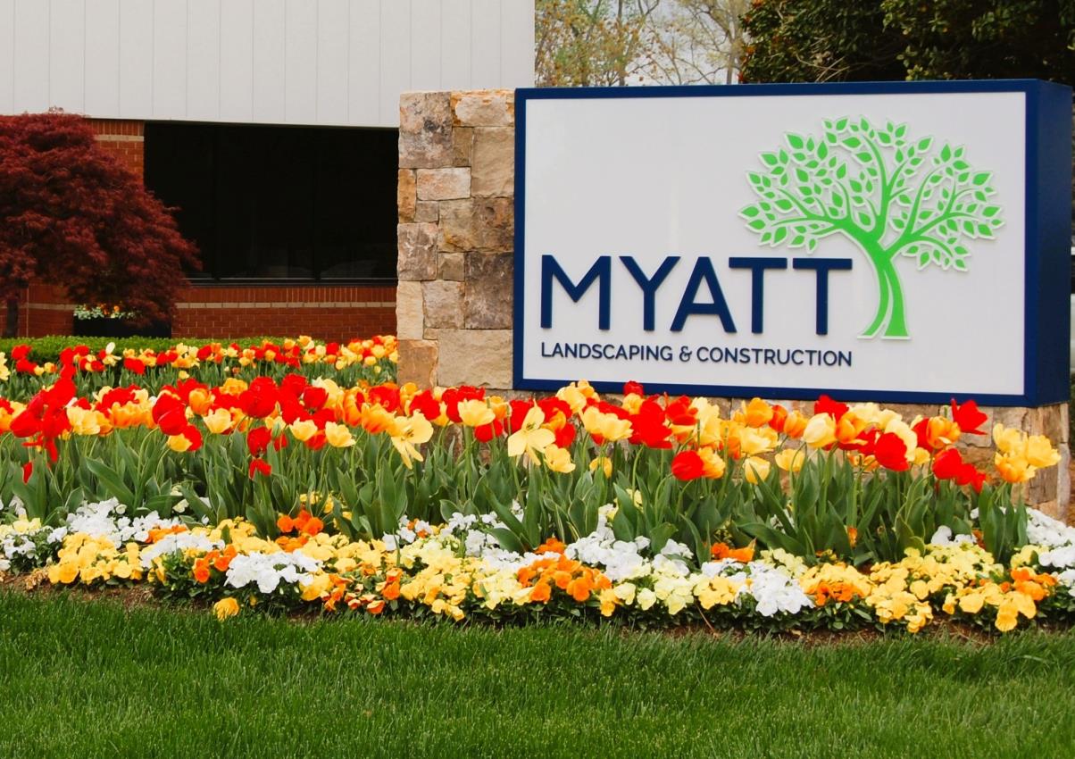 Myatt Client Backyard