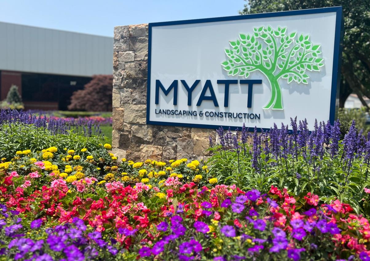 Myatt Client Backyard
