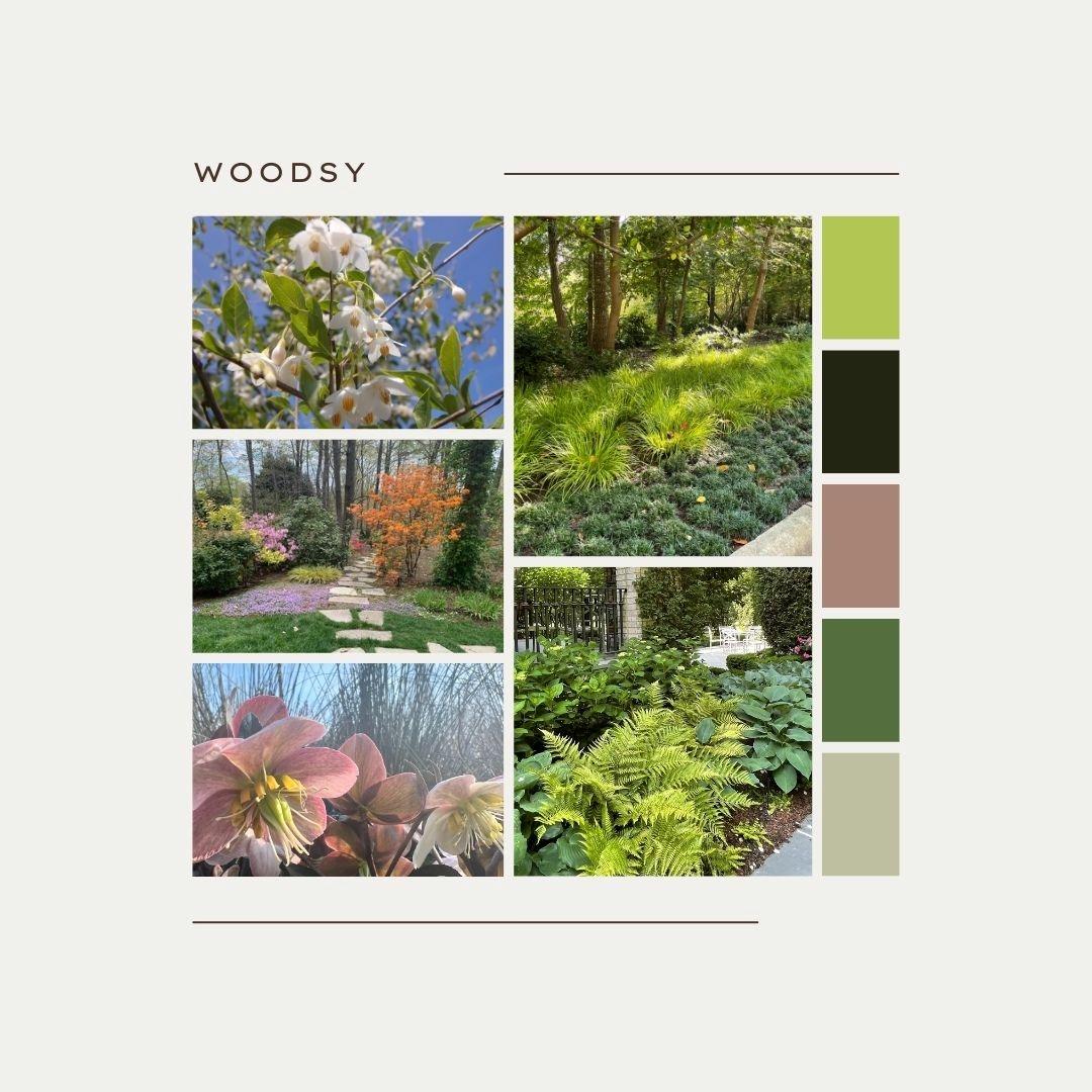 Mood Boards for Landscape Design